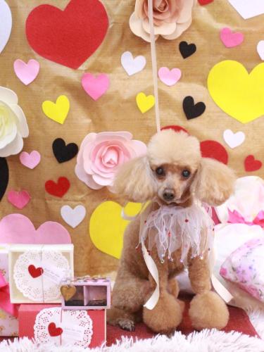 20230210リールちゃん